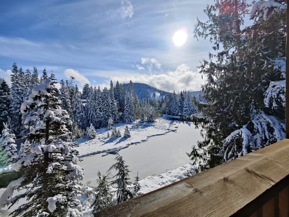 View of Collins Lake from Patio winter