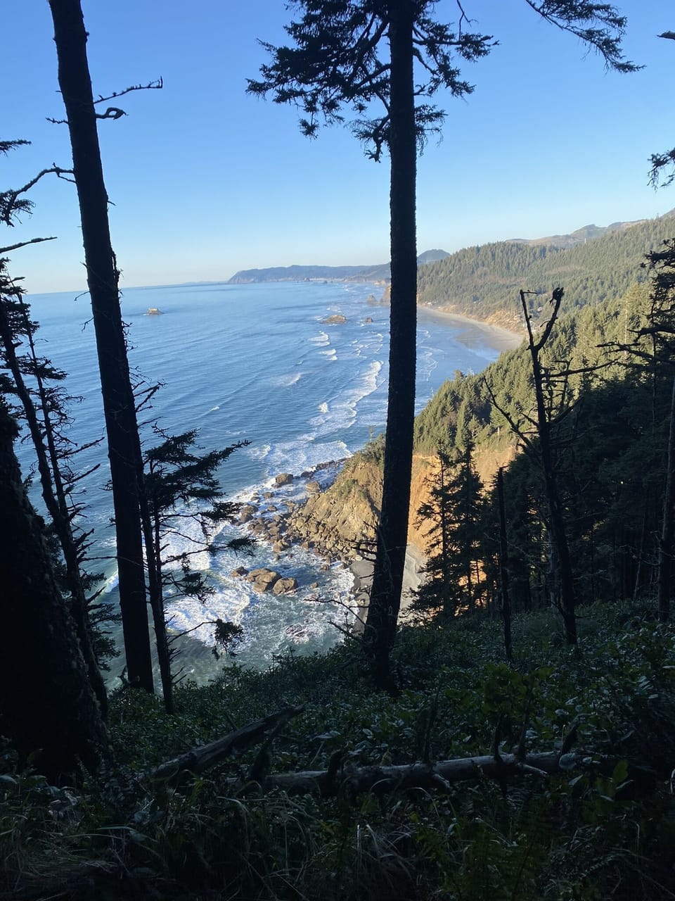 View From Pacific Crest Trail