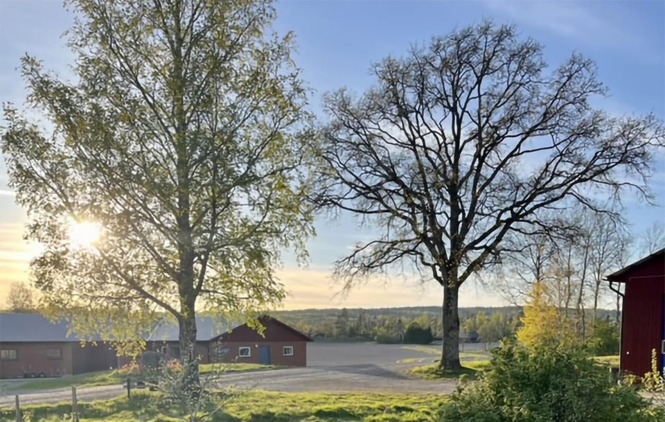 view-from-room