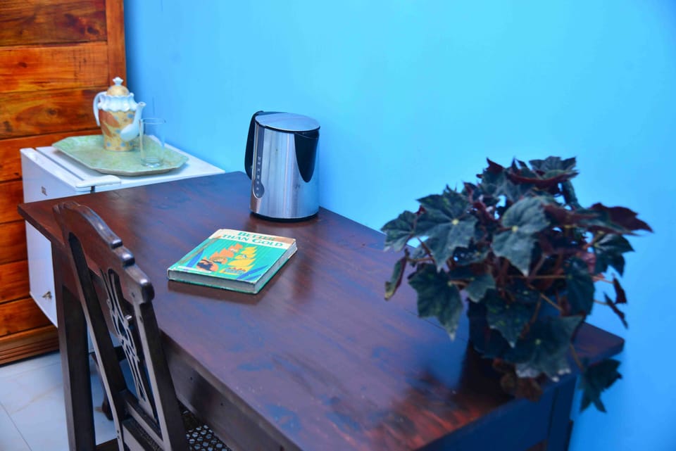 Deluxe Apartment | Individually decorated, individually furnished, desk, free WiFi