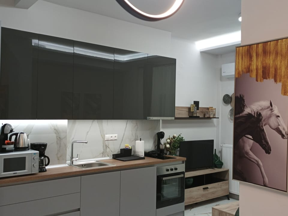 Deluxe Apartment | Private kitchen | Electric kettle