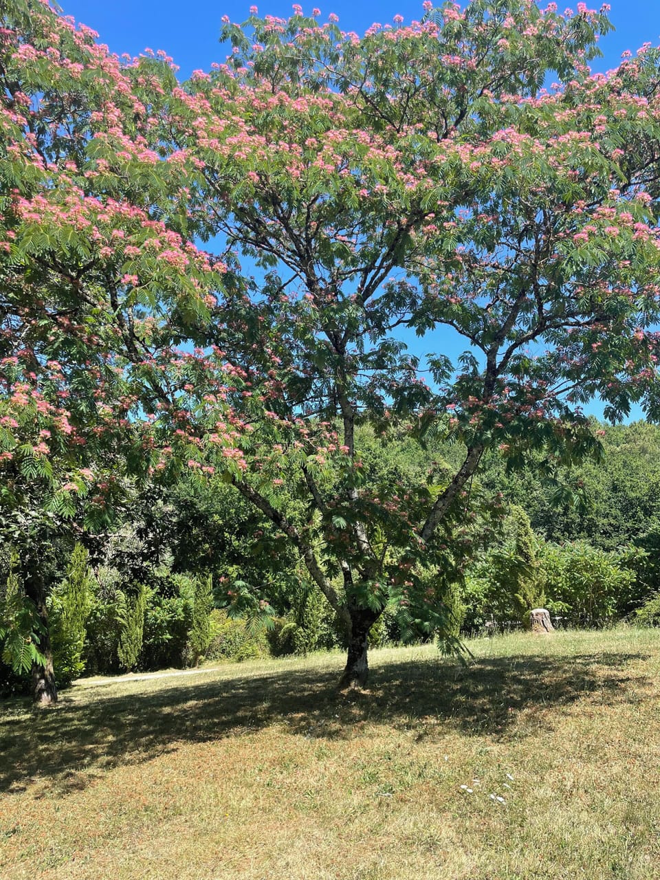 Les Rocailles Bed and Breakfast in Nouvelle-Aquitaine