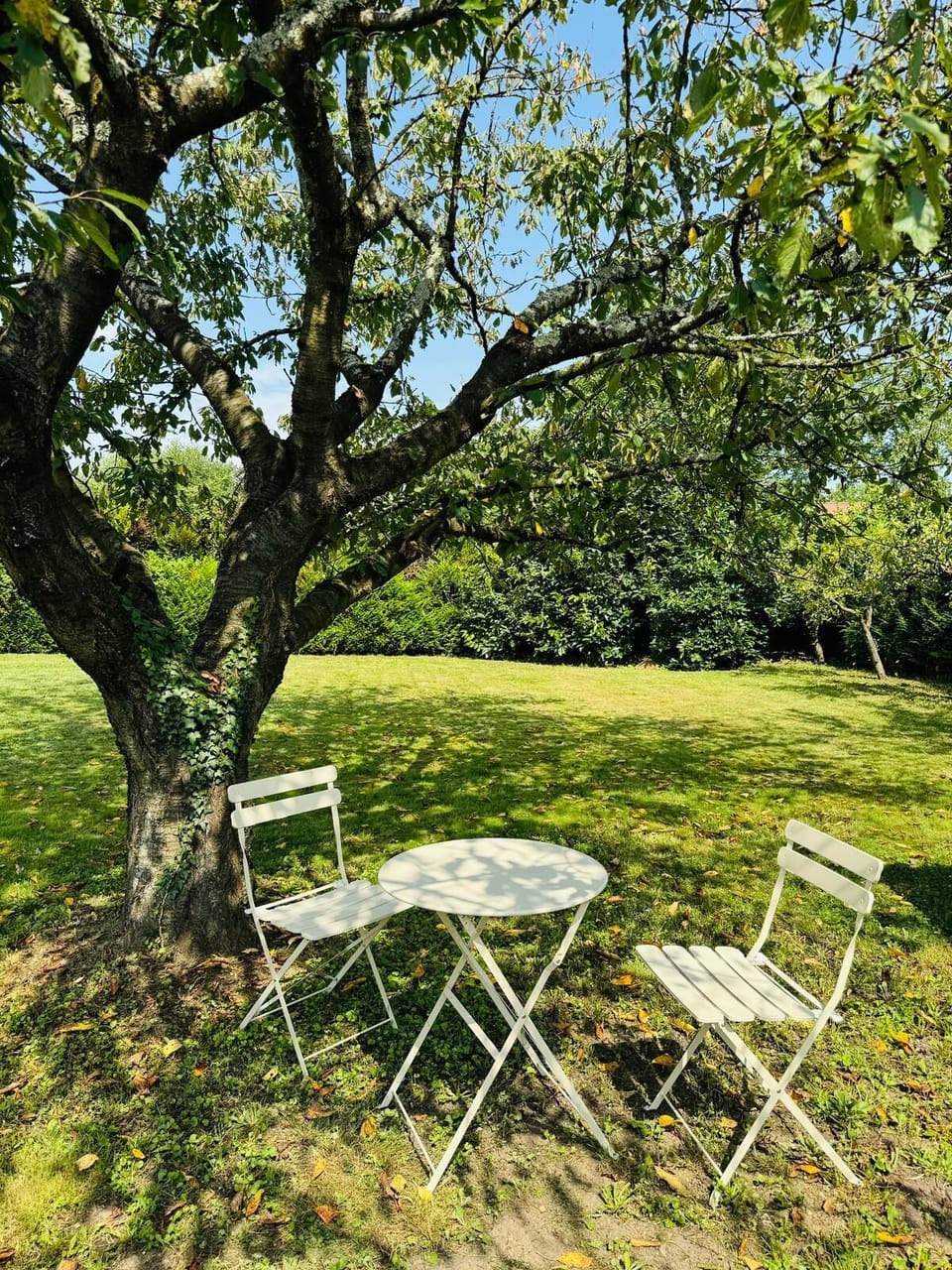 07b0471a-61e3-42ef-b854-74f29845a268