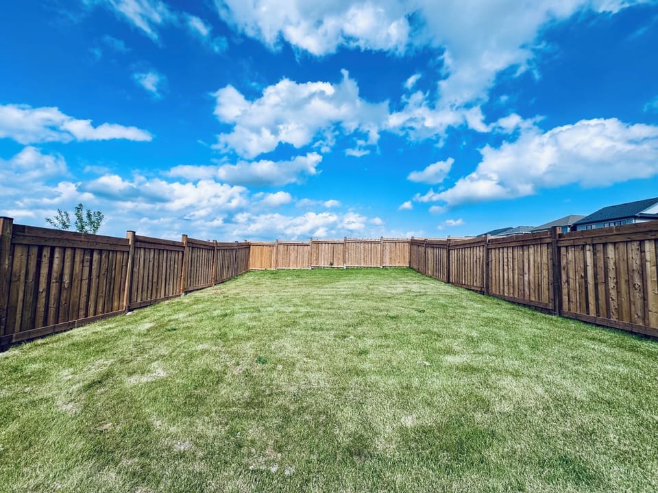 Beautifully spacious brand new backyard & fence