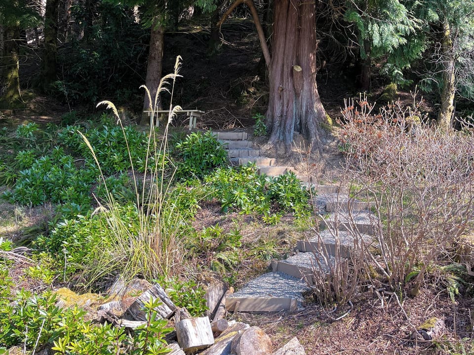 Garden | The Holly Trees- Holly Tree Lodge - The Holly Trees, Kilmun, near Dunoon