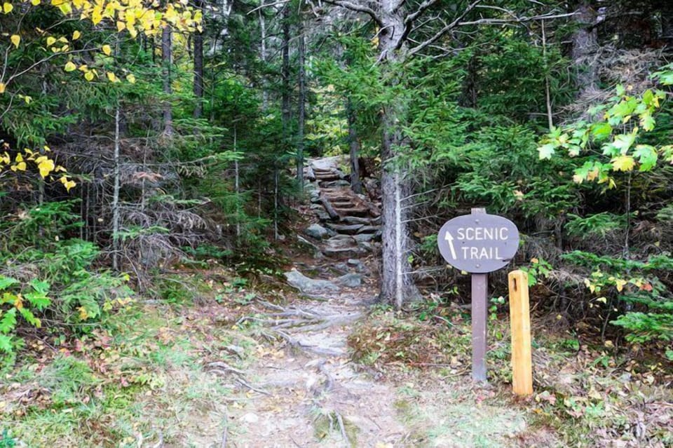 Hike to Your Hearts Desire!
