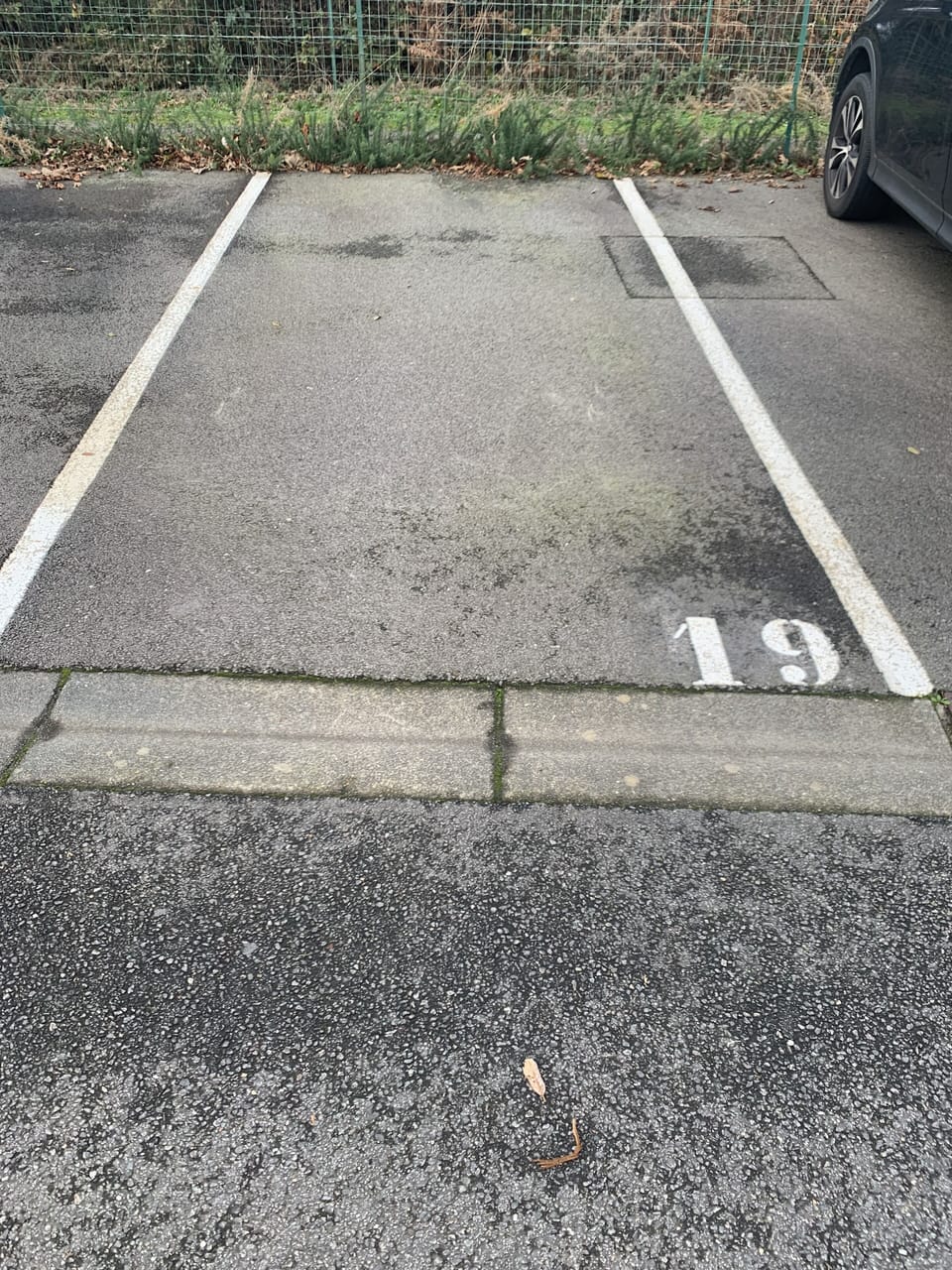 Property grounds