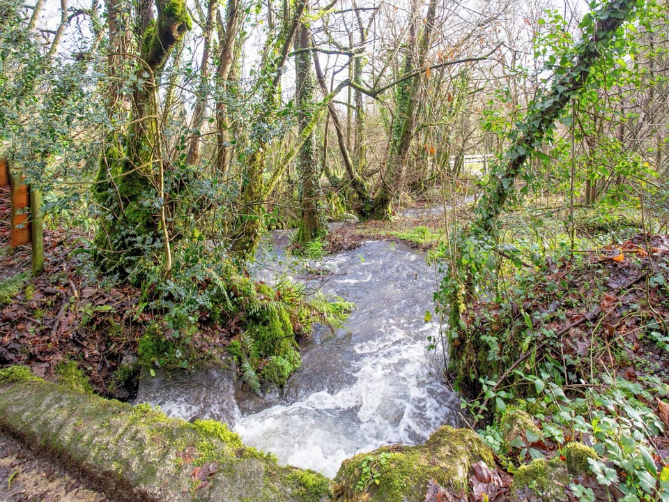 Surrounding area | Bulls Cottage, Bodmin