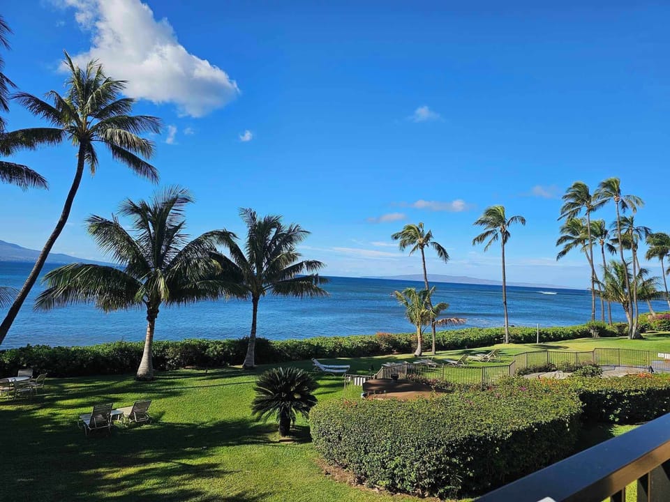 Lanai view
