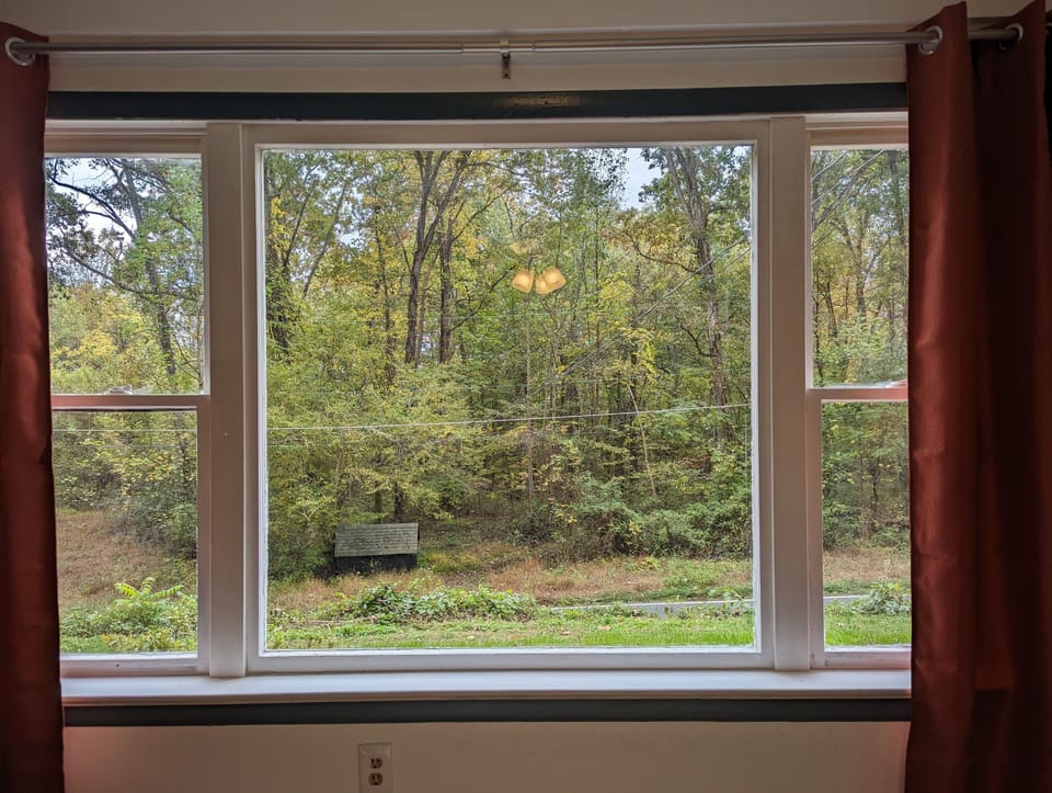 The lovely view from the living room.