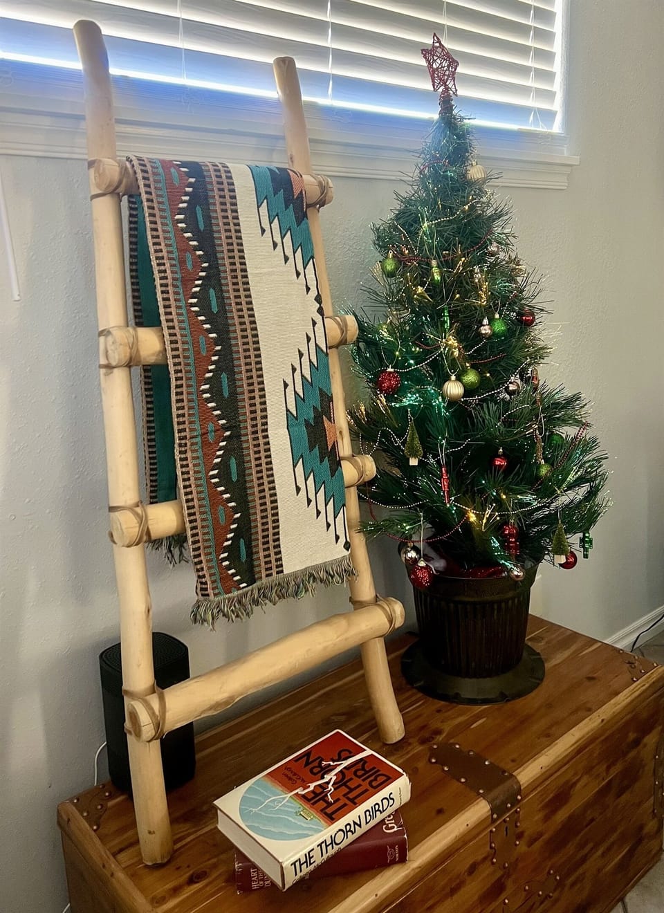 Christmas tree during the Holidays