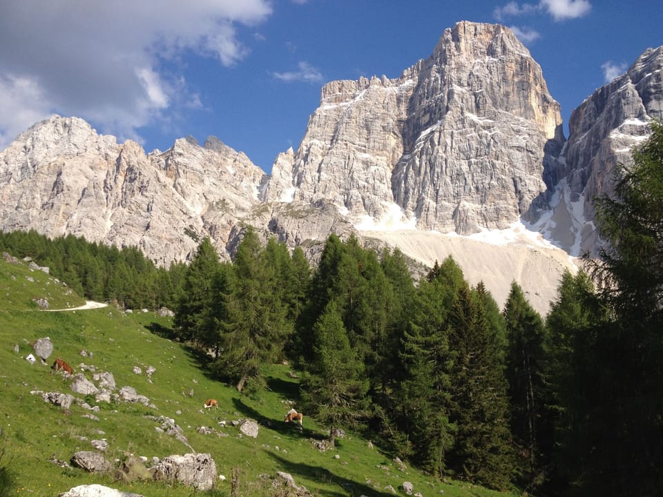 Mountain