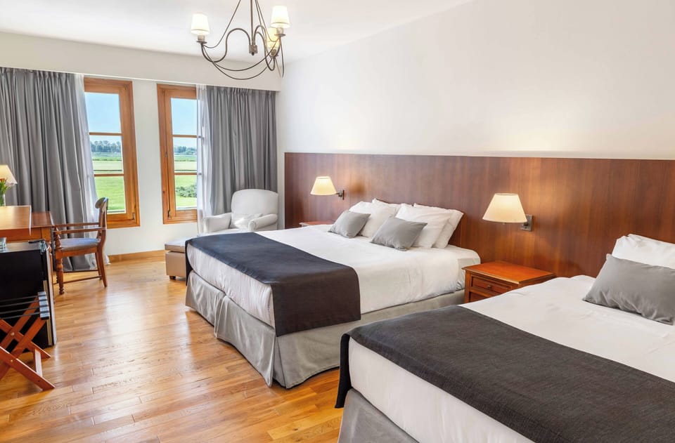 Deluxe Suite | Premium bedding, down comforters, pillowtop beds, minibar