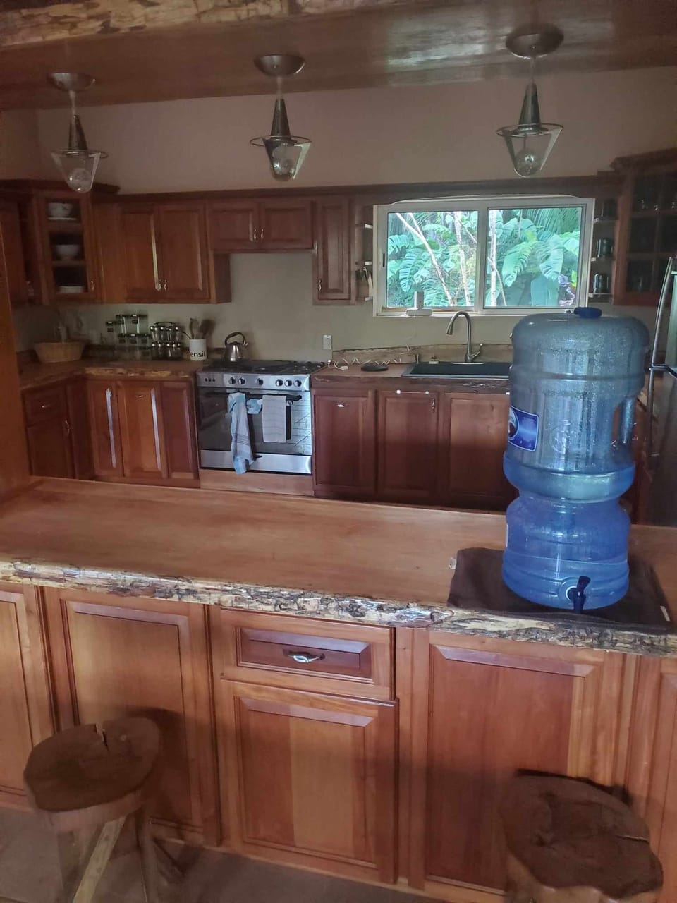 Chef-style Kitchen, or have a local cook prepare meals 