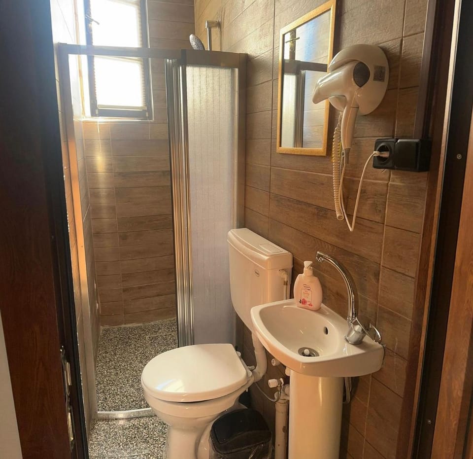 Standard Double or Twin Room, City View | Bathroom | Shower, hair dryer, towels, soap