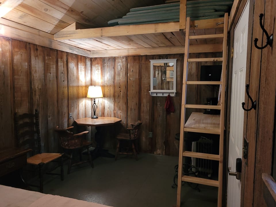 Dining area with ladder to loft