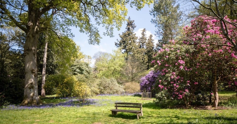 Westonbirt Arboretum