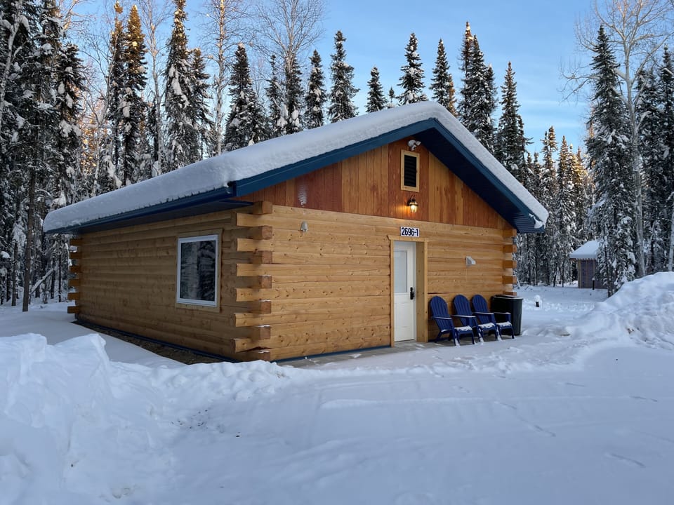 Winter at Arctic Cabin 