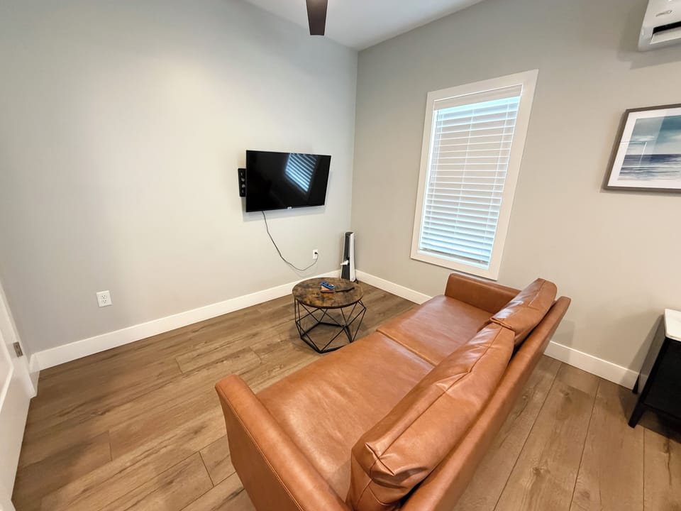 43 inch smart tv and couch