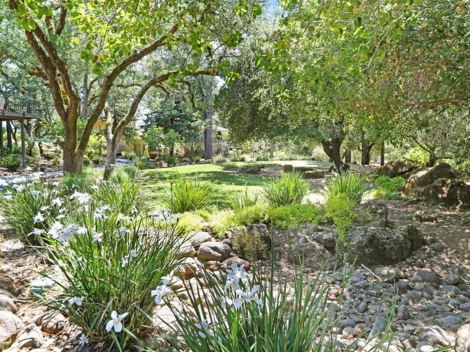 Quiet creek area behind the condo