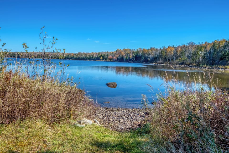 Haley Pond waterfront