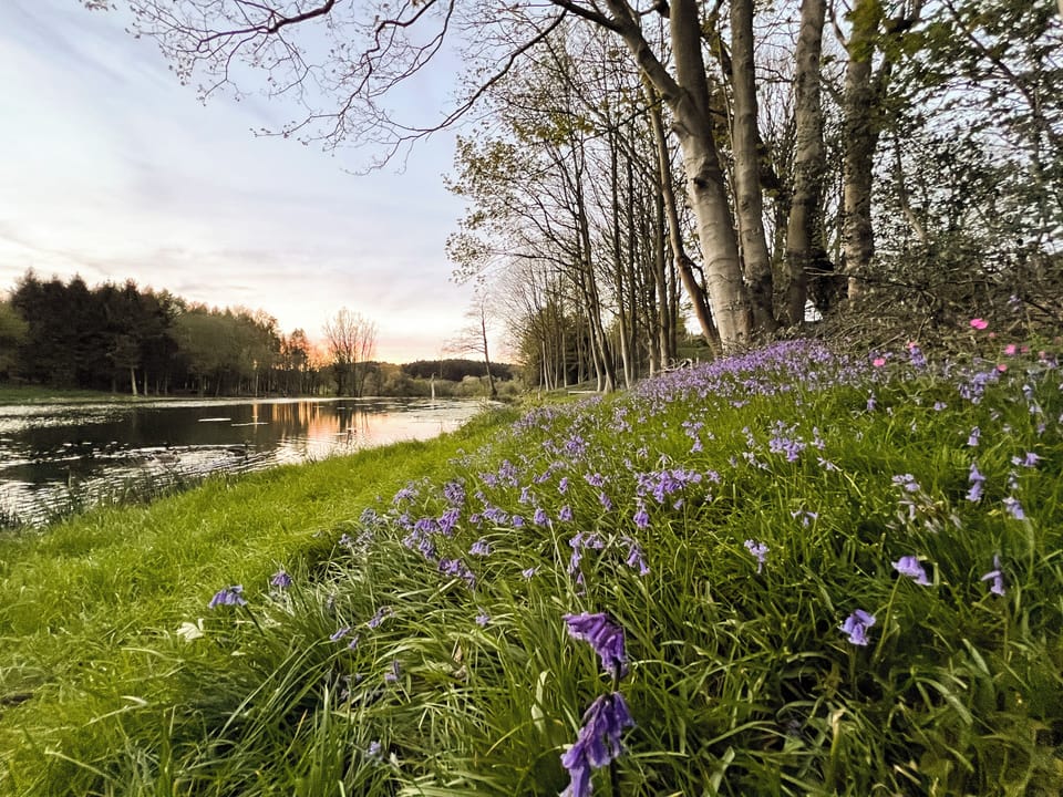 Dog Friendly Shepherds Hut overlooking a natural lake in North Norfolk 