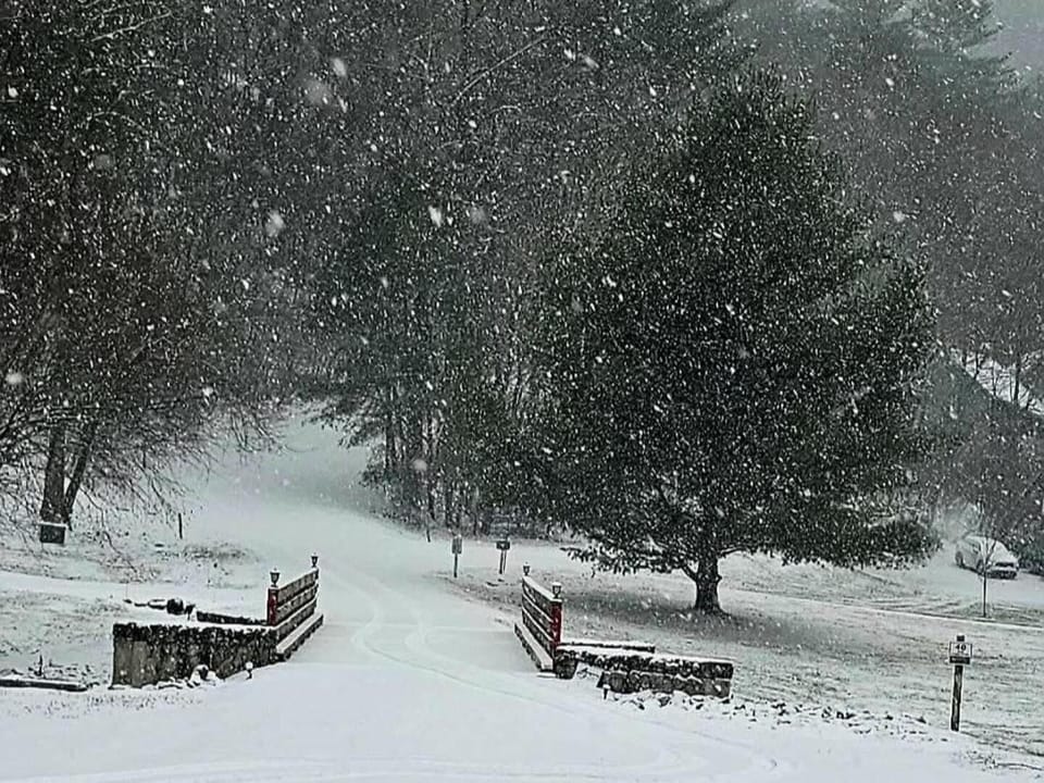 Cozy outdoor seating surrounded by peaceful snowy woods