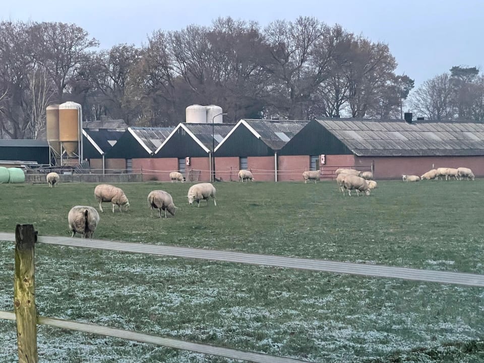 Within the area you will find picturesque landscapes, farms and even sheep!