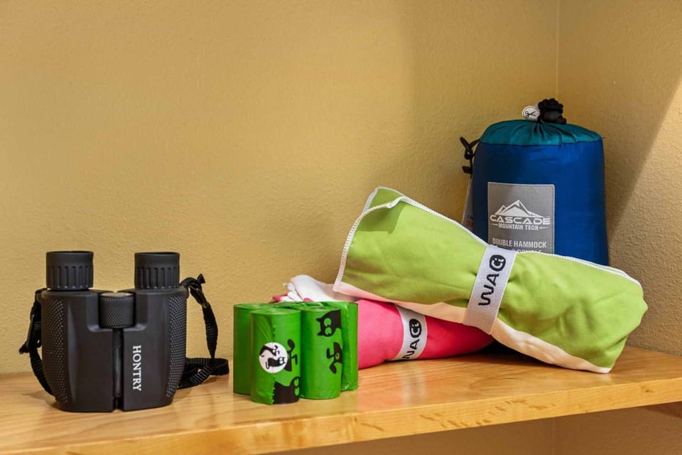 Supplies for taking the dog on a birdwatching hike.