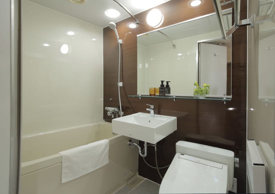 Combined shower/tub, hair dryer, slippers, electronic bidet