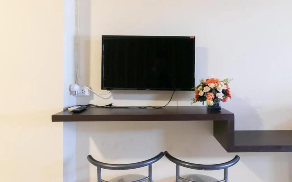 Television