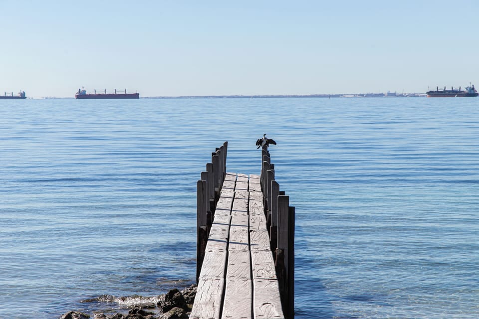 A lone sentry stands guard on a Rockingham jetty, with cargo ships on the horizon.