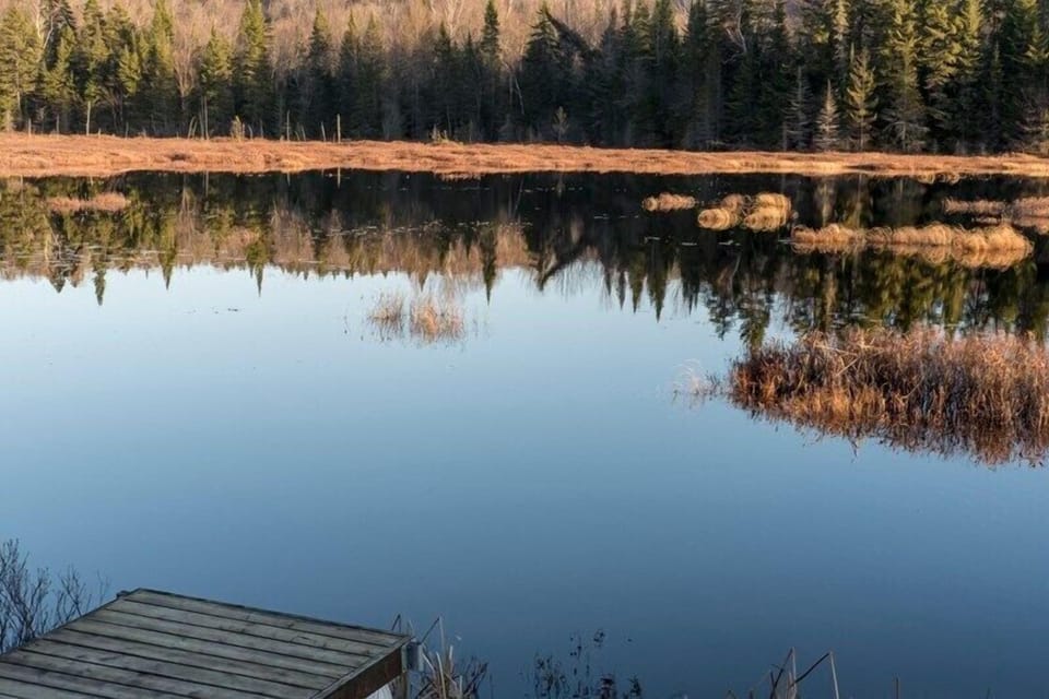 Lac sauvage et protégé à titre de milieu humide, de l'autre côté de la rue. Non baignable mais très agréable à contempler car reconnu pour sa faune végétale, aviaire et aquatique