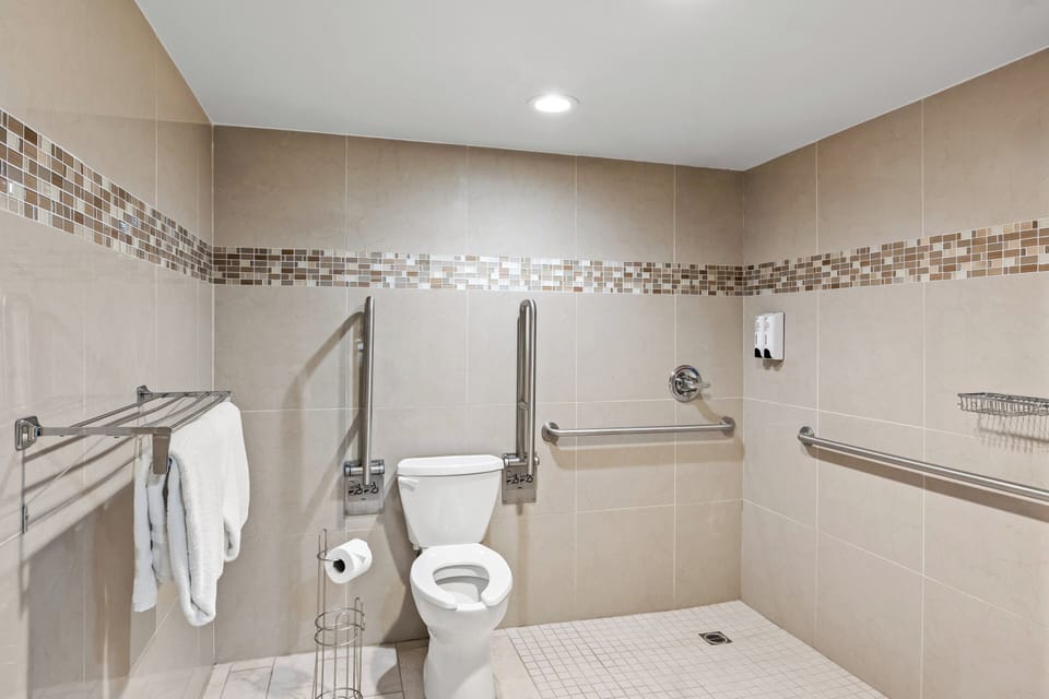 Superior Room, 1 King Bed, Accessible, Non Smoking (Roll-In Shower) | Bathroom | Free toiletries, hair dryer, towels
