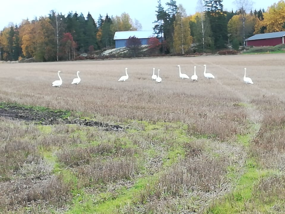 Land view from property