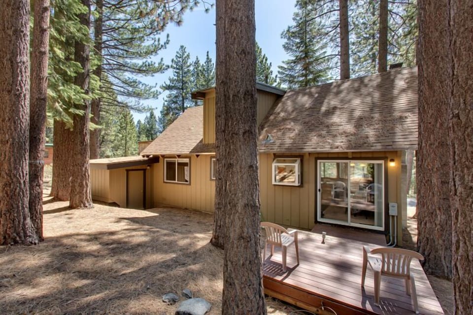 Surrounded by tall pines, this cabin offers a true mountain escape in a tranquil setting.