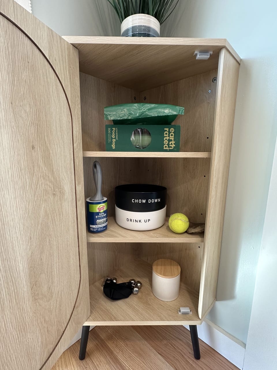 Creature comforts for your four legged friend!