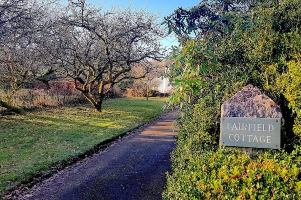 The entrance driveway 