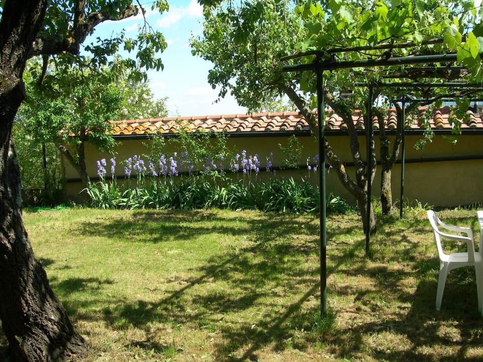 Garden [summer]