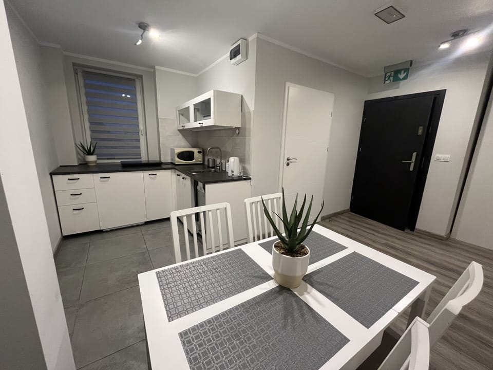 Standard Apartment, 1 Bedroom, Ensuite, Lake View | Private kitchen | Mini-fridge, stovetop, dishwasher, electric kettle