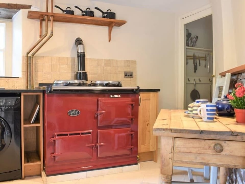 shiny red Aga 