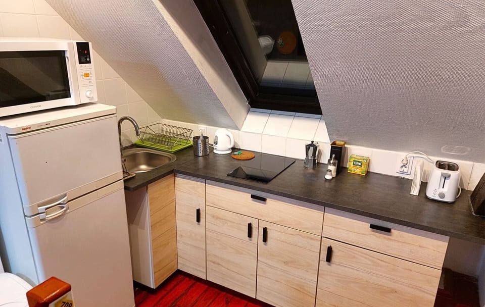 Full-size fridge, microwave, oven, stovetop