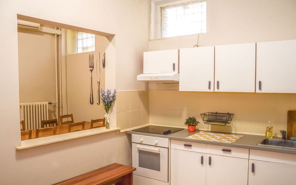 Full-size fridge, microwave, oven, stovetop
