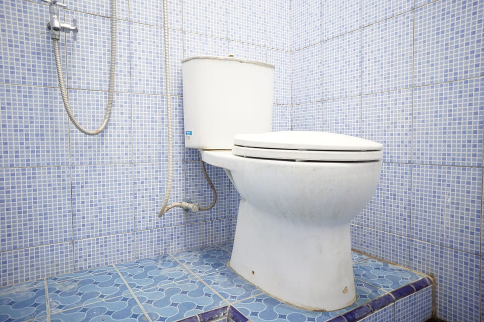 Deluxe Double Room | Bathroom | Shower, towels