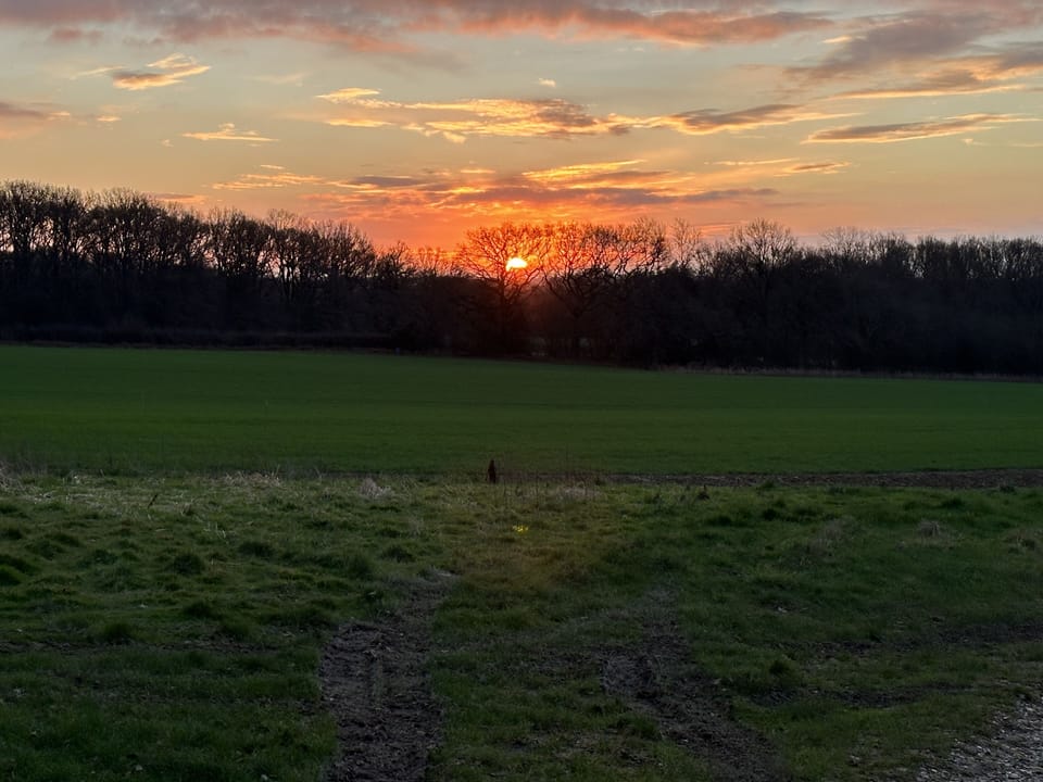 Summer sunset outside the barn