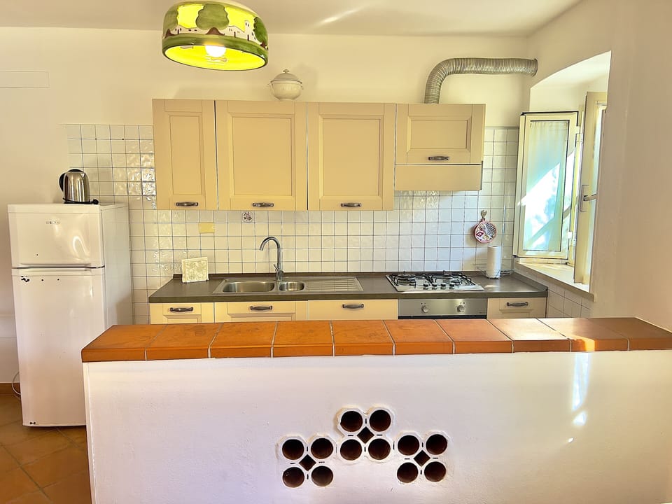 Deluxe Condo, Garden Area | Private kitchen | Full-size fridge, oven, stovetop, dishwasher