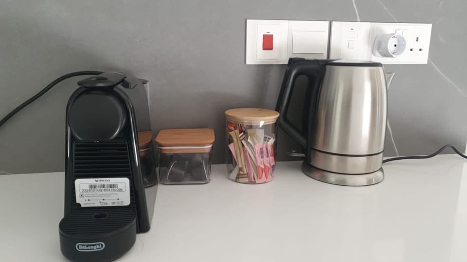 Full-size fridge, microwave, oven, dishwasher