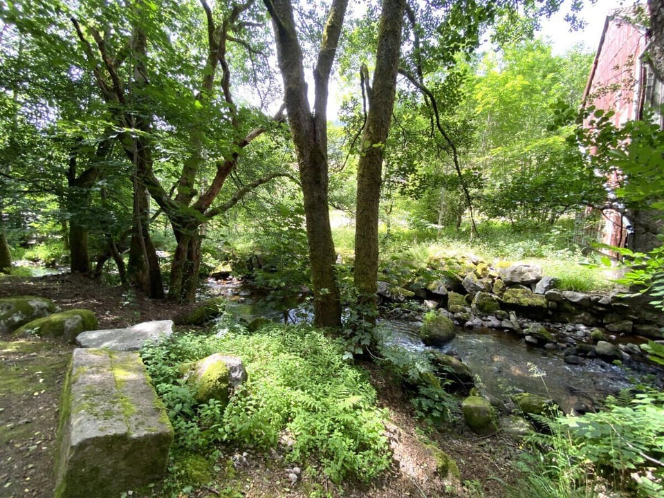 Garden with terrace and river view