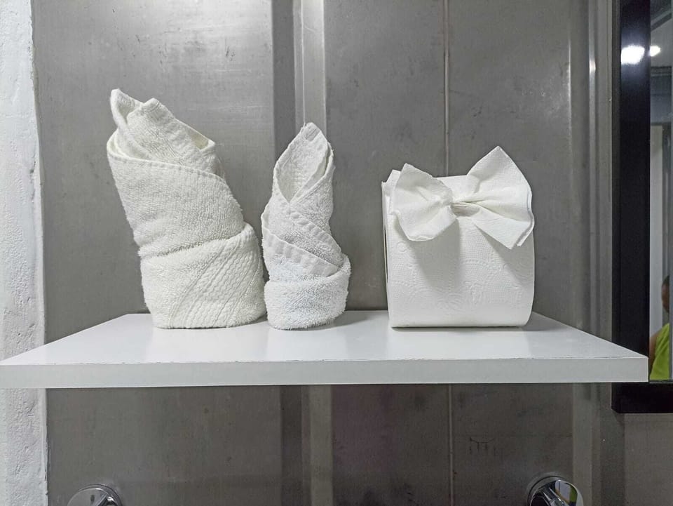 Shower, towels, soap, shampoo