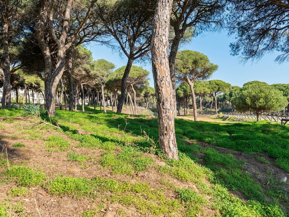 Immediate Surroundings [summer] (<1 km)